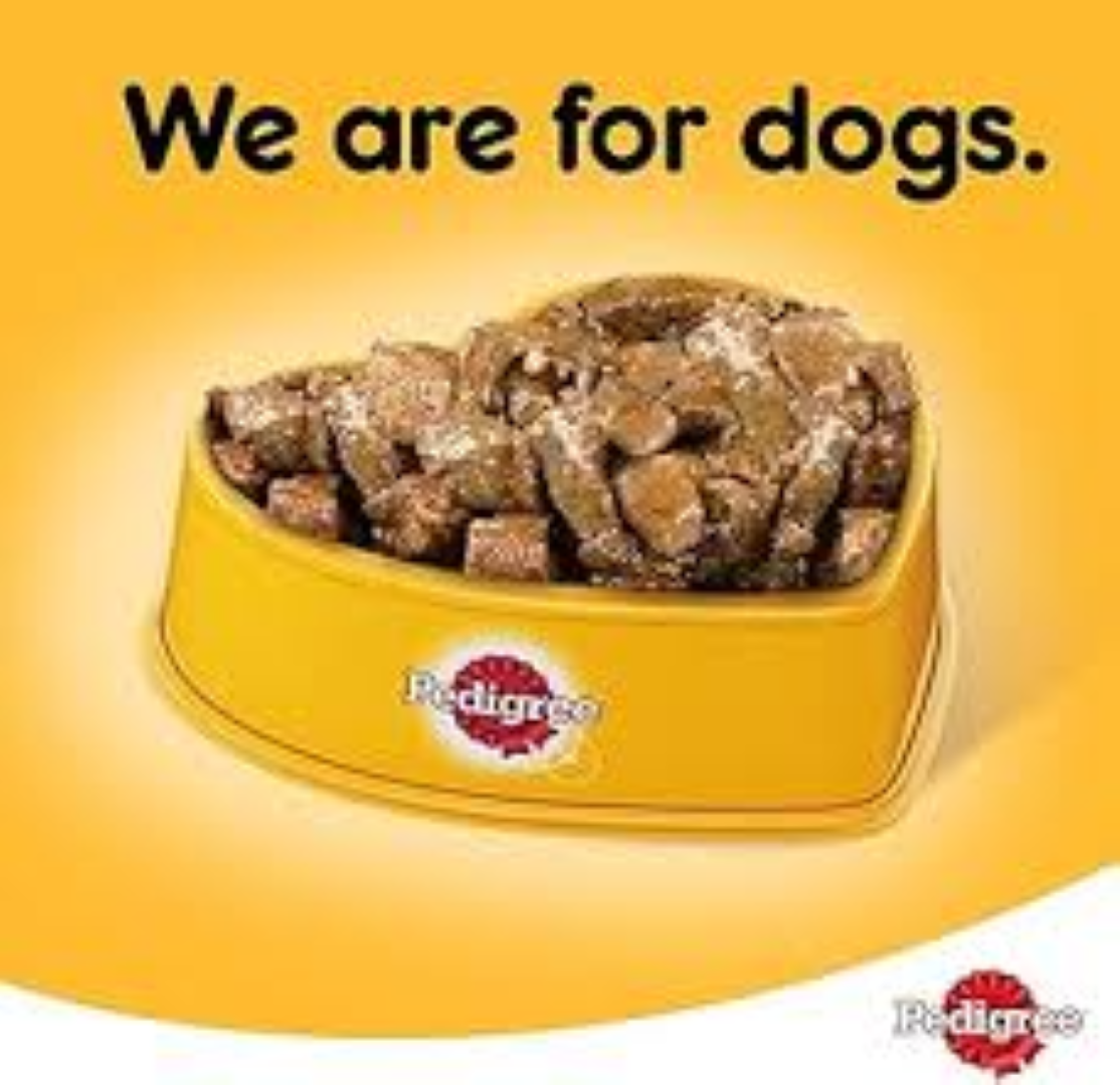 PEDIGREE CAN IN GRAVY CHICKEN 400G